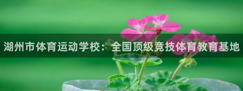 MK体育官方正版app娱乐平台：湖州市体育运动学校：