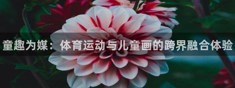 MK体育官网下载招商电话号码：童趣为媒：体育运动与儿