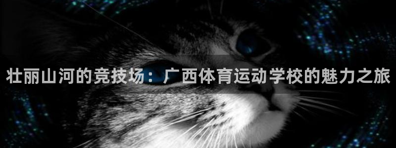 MK体育官方正版app神州：壮丽山河的竞技场：广西体