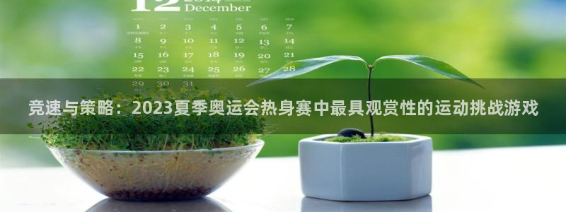 MK体育官方正版app娱乐是那个系列的台子：竞速与策