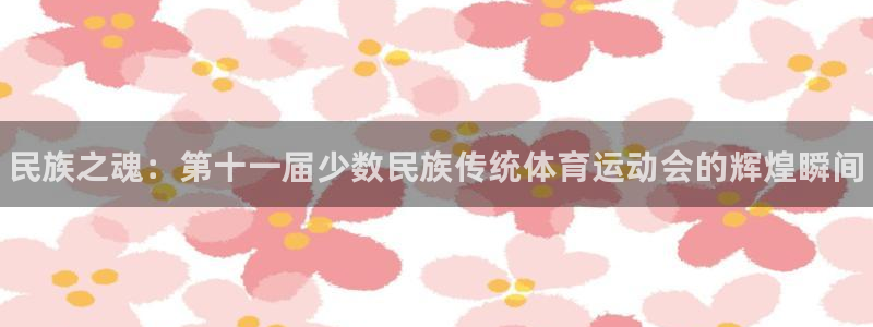 MK体育官方正版app官网：民族之魂：第十一届少数民