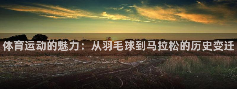 MK体育官网下载招商：体育运动的魅力：从羽毛球到马拉