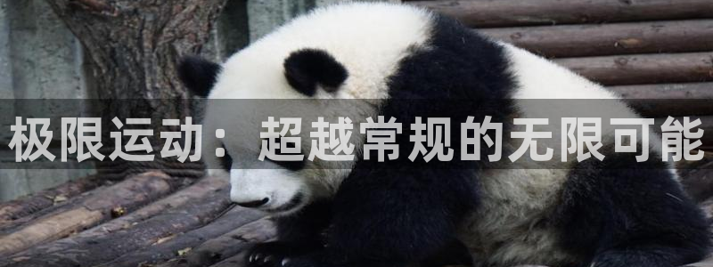 MK体育官网下载平台是正规平台吗：极限运动：超越常规