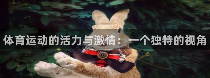 MK体育官网下载招商电话是多少：体育运动的活力与激情