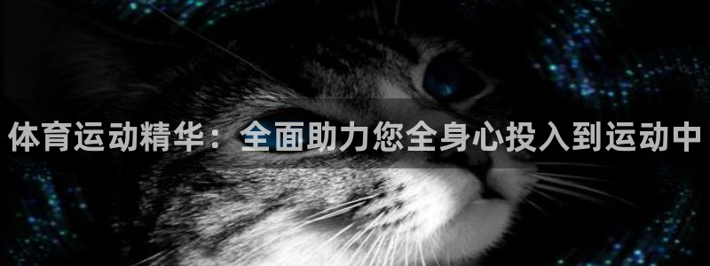 MK体育官方正版app集团logo：体育运动精华：全