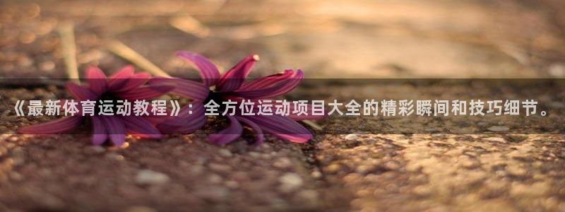 MK体育官网下载软件：《最新体育运动教程》：全方位运动项目大