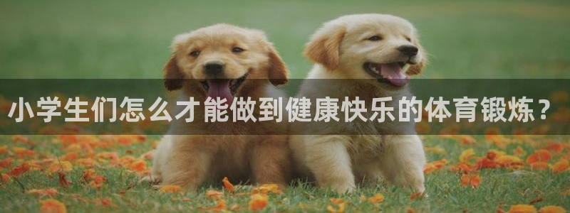 MK体育官方正版app官方：小学生们怎么才能做到健康