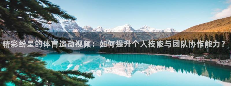 MK体育官网下载招商电话是多少啊：精彩纷呈的体育运动视频：如
