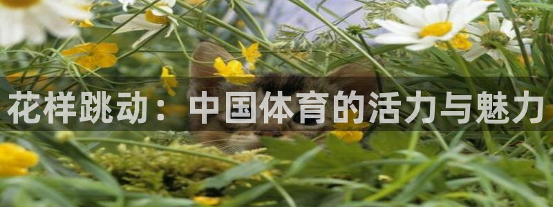 MK体育官方正版app娱乐：花样跳动：中国体育的活力与魅力
