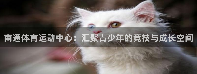 MK体育官网下载招商电话号码是多少：南通体育运动中心：汇聚青