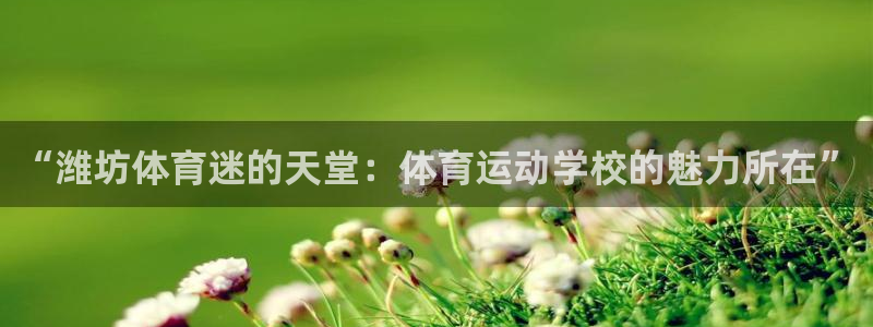 MK体育官方正版app娱乐40996：“潍坊体育迷的