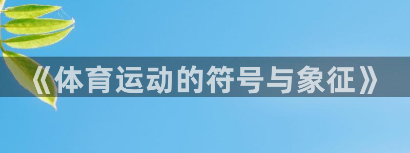 MK体育官方集团官网：《体育运动的符号与象征》