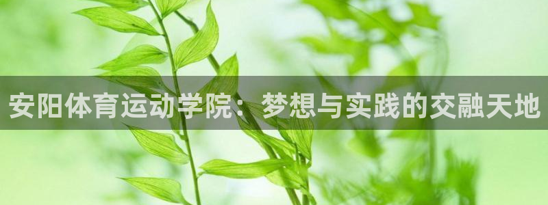 MK体育官方正版app娱乐：安阳体育运动学院：梦想与
