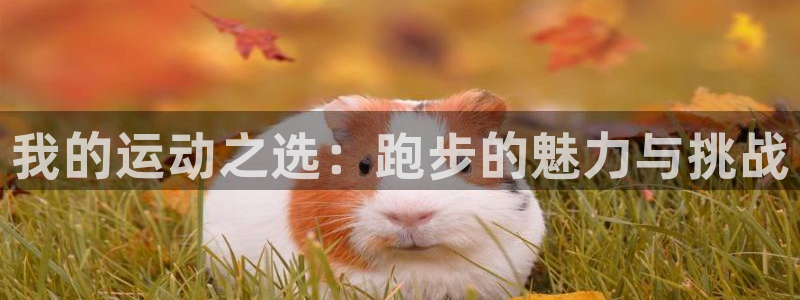 MK体育官网下载招商电话号码是多少号：我的运动之选：跑步的魅