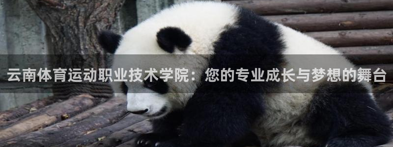 MK体育官网下载招商电话是多少号码：云南体育运动职业技术学院