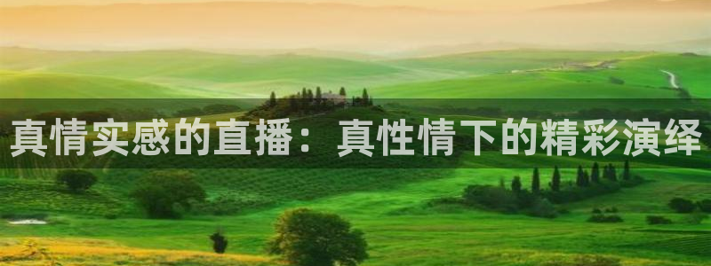 足球比赛直播间833：真情实感的直播：真性情下的精彩演绎