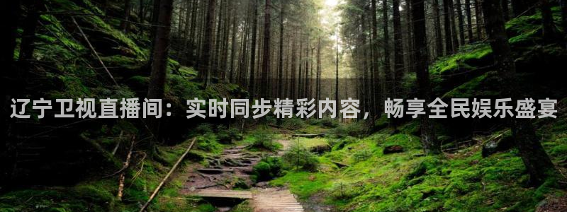 833球赛直播