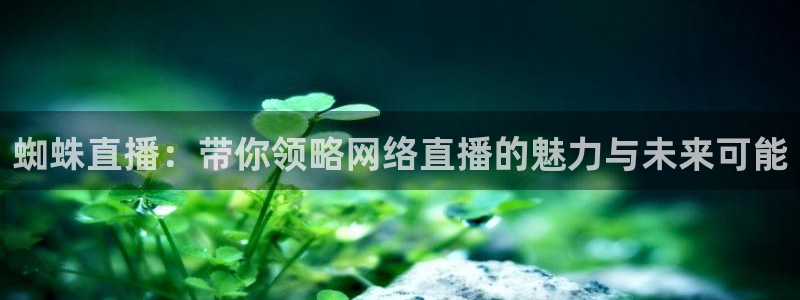 3833tv直播：蜘蛛直播：带你领略网络直播的魅力与未来可能