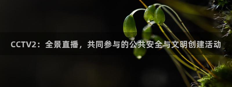 833直播nba：CCTV2：全景直播，共同参与的公共安全与文明创建活动