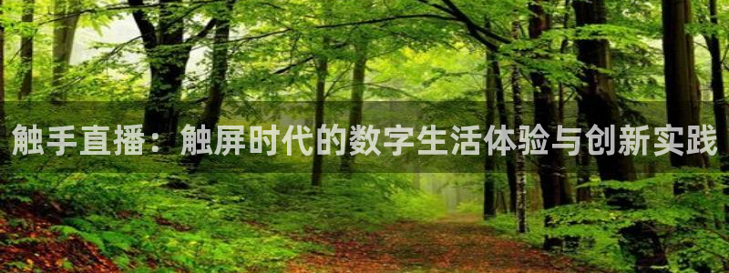 833直播足球比赛在线观看：触手直播：触屏时代的数字生活体验与创新实践