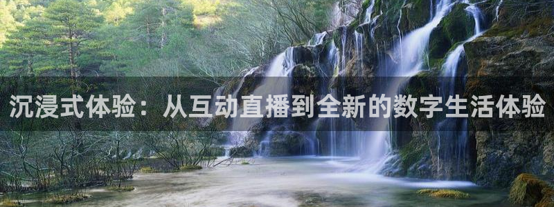 833足球比赛直播：沉浸式体验：从互动直播到全新的数字生活体验