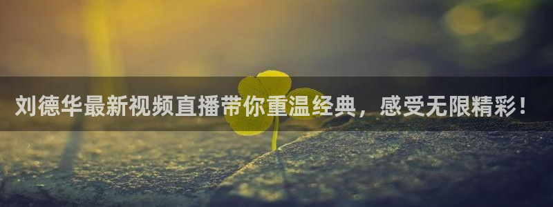 833直播体育：刘德华最新视频直播带你重温经典，感受无限精彩！
