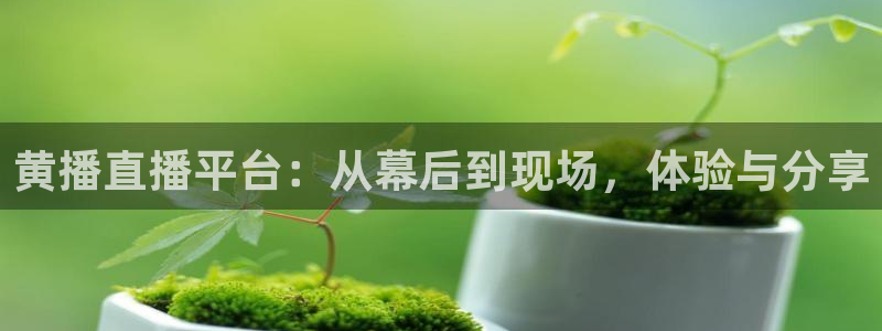 833体育在线直播在线看免费版：黄播直播平台：从幕后到现场，体验与分享