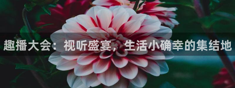 833直播体育app：趣播大会：视听盛宴，生活小确幸的集结地