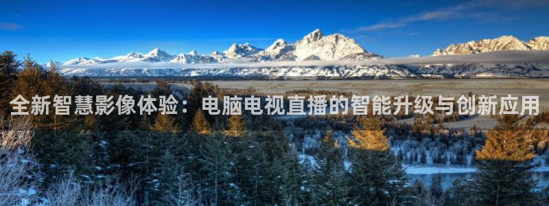833足球直播：全新智慧影像体验：电脑电视直播的智能升级与创新应用