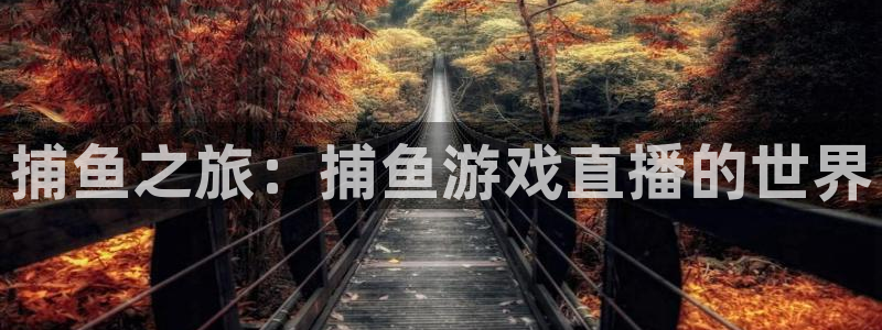 833直播免费体育直播：捕鱼之旅：捕鱼游戏直播的世界